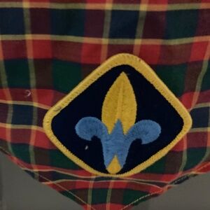 Vintage Weeblos Boy Scouts Kerchief